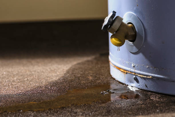 Best Basement water damage restoration  in Osgood, IN