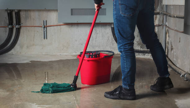 Best Water damage restoration near me  in Osgood, IN
