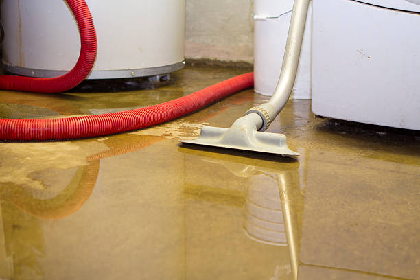 Best Water damage contractors near me  in Osgood, IN