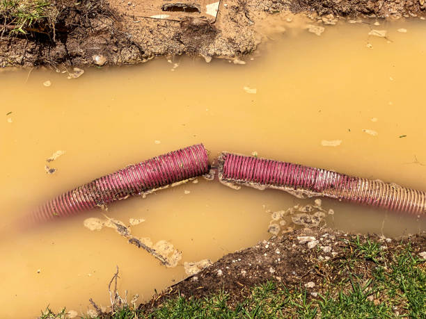 Best Water damage restoration process  in Osgood, IN