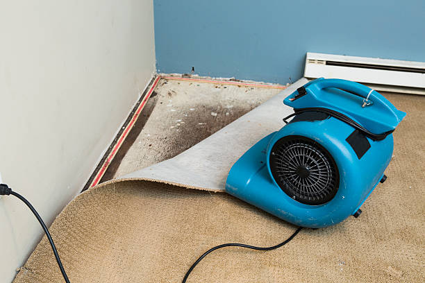 Best Commercial water damage restoration  in Osgood, IN